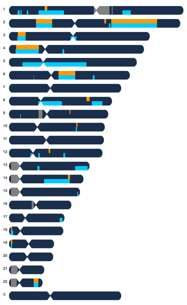 Screen Shot 2016-02-10 at 11.13.59 AM