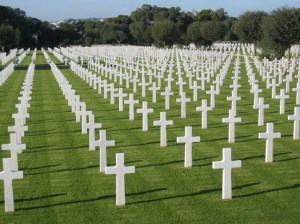 CEM46514200_108725581224