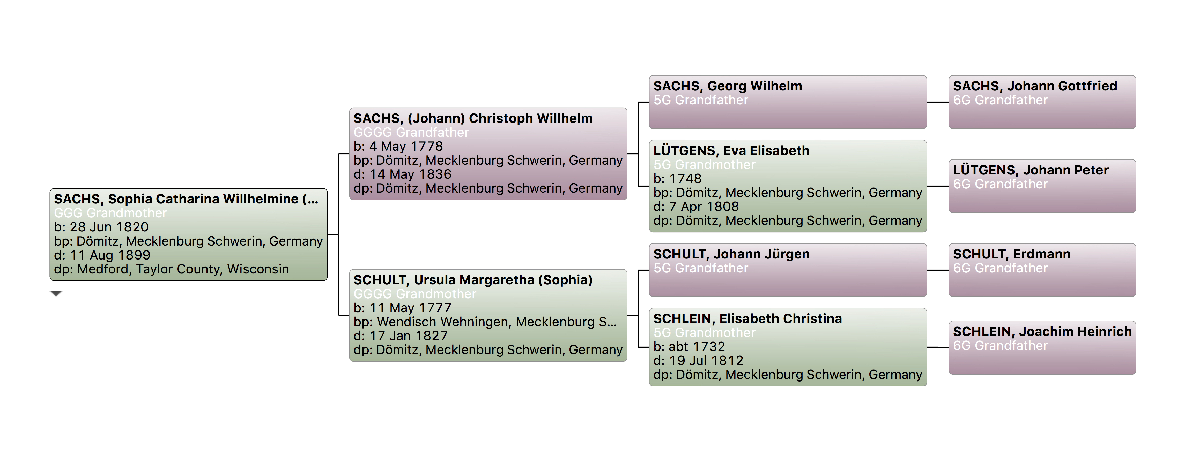 sachs-sophia-catharina-willhelmine-meina