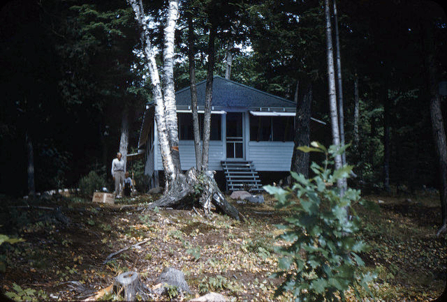 3687802736_2f960531c9_z