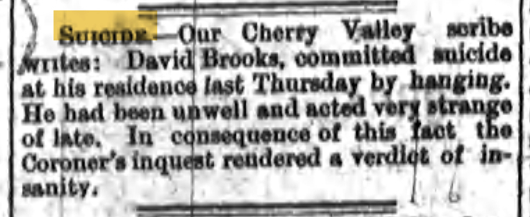 newspaper_brooksdavid_suicide2 copy