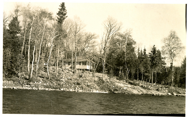 39726793121_95c992d89b_z