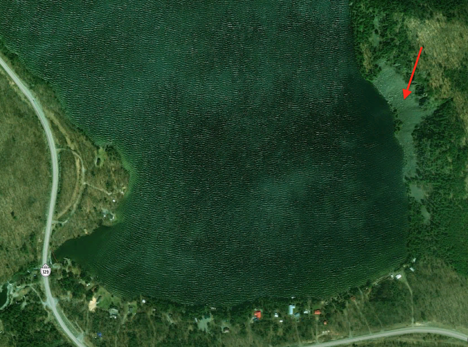 Screen Shot 2018-10-10 at 1.06.47 PM