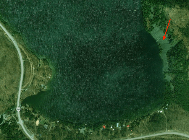 Screen Shot 2018-10-10 at 1.06.47 PM